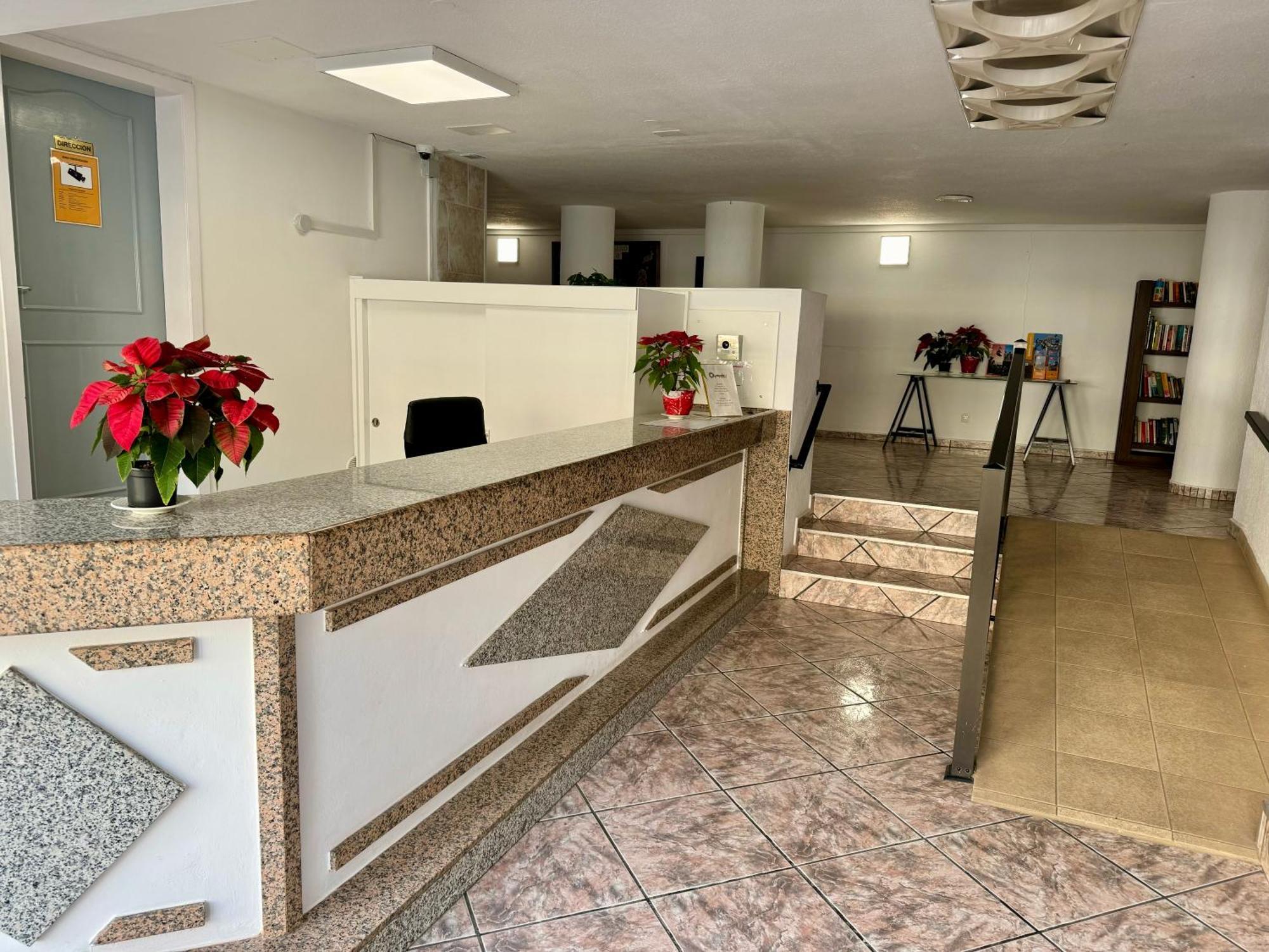 Olympia Palmalicious Apartment Πλάγια ντε λας Αμέρικας Εξωτερικό φωτογραφία