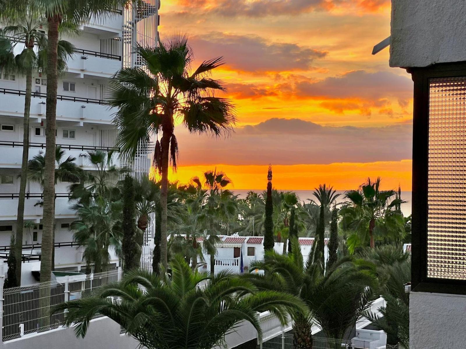 Olympia Palmalicious Apartment Πλάγια ντε λας Αμέρικας Εξωτερικό φωτογραφία